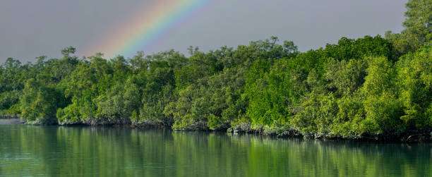 Sundarban